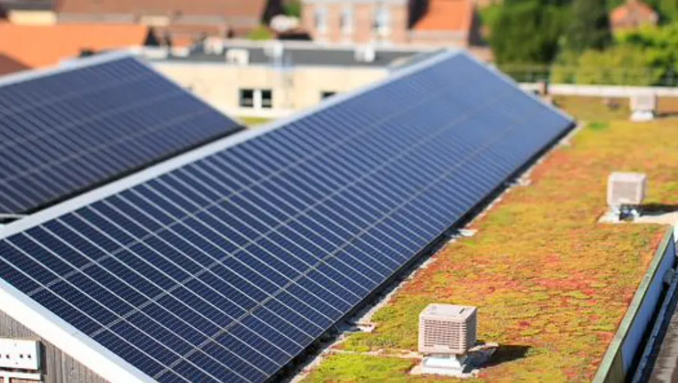 Toiture végétalisée du site POCHECO équipée de panneaux solaires