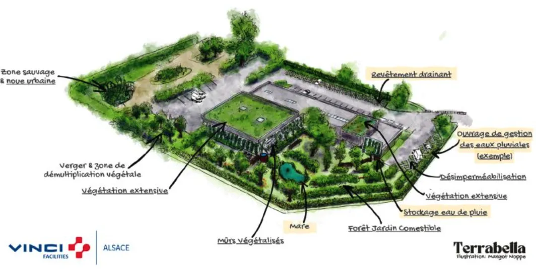rex-vinci-facilities-solutions-fondées-sur-la-nature-chaleur-au-travail