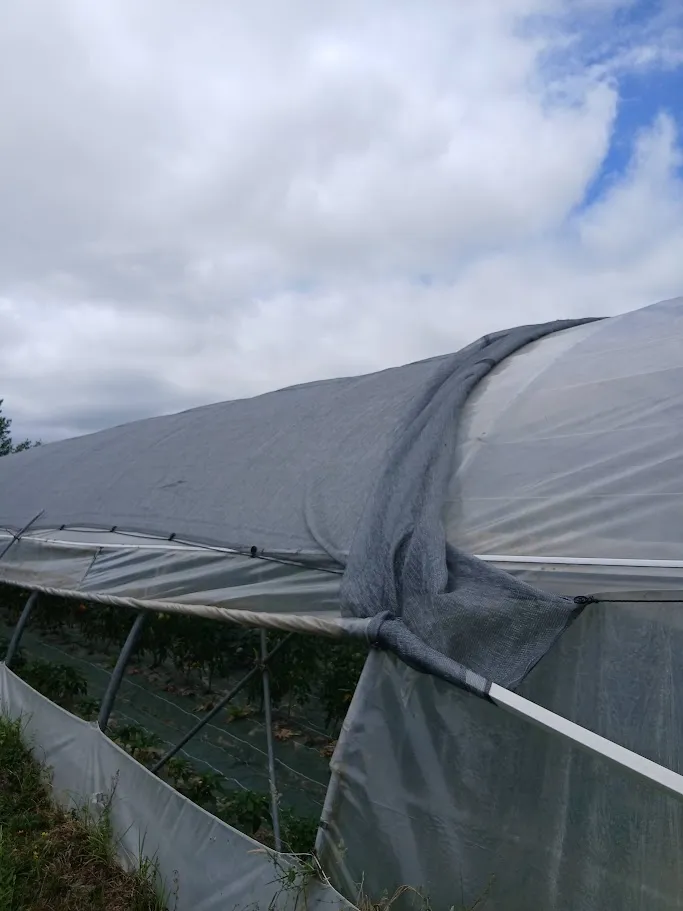 rex-gaec-ferme-laporte-voiles-ombrage-chaleur-au-travail