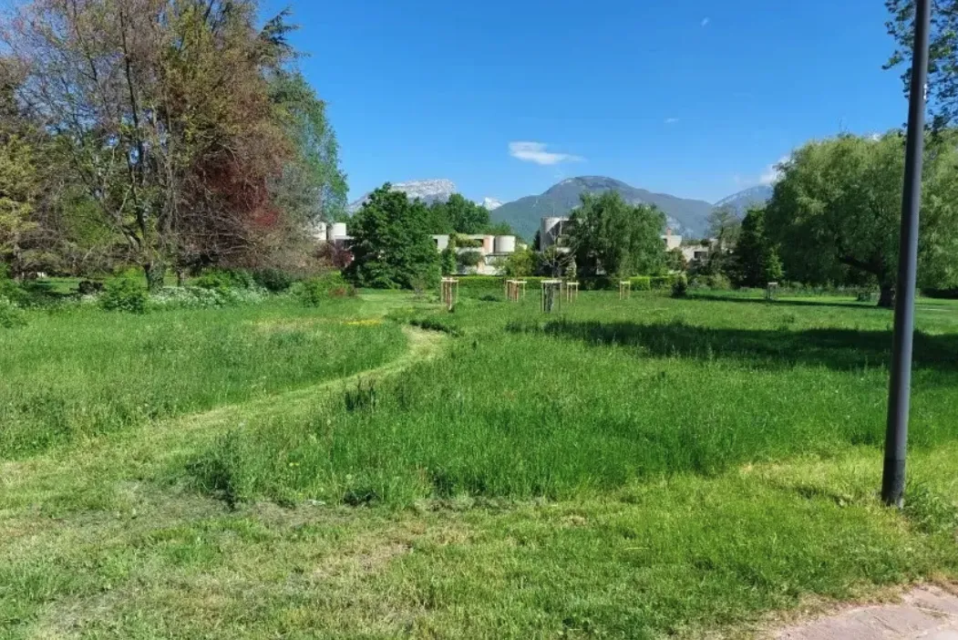 rex-ville-grenoble-adaptation-chaleur